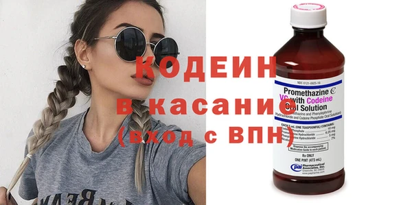 ПСИЛОЦИБИНОВЫЕ ГРИБЫ Михайлов