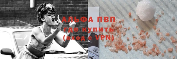 ПСИЛОЦИБИНОВЫЕ ГРИБЫ Михайлов