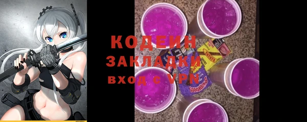ПСИЛОЦИБИНОВЫЕ ГРИБЫ Михайлов