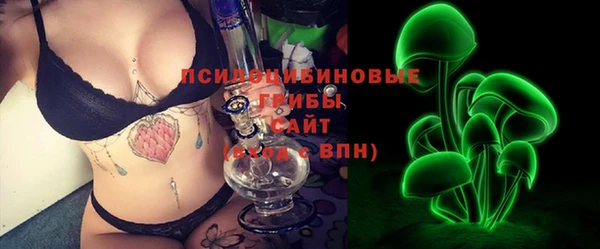 ПСИЛОЦИБИНОВЫЕ ГРИБЫ Михайлов