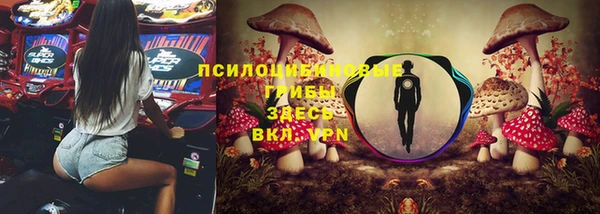 МДПВ Долгопрудный