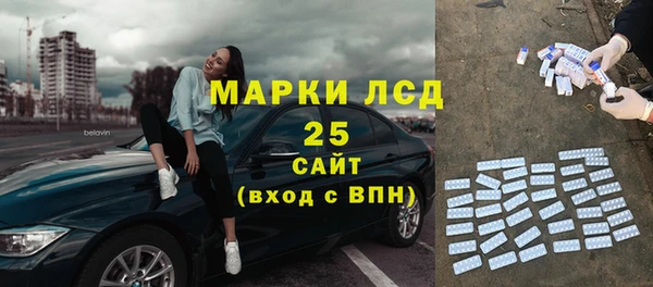 ПСИЛОЦИБИНОВЫЕ ГРИБЫ Михайлов