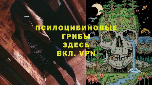 ПСИЛОЦИБИНОВЫЕ ГРИБЫ Михайлов