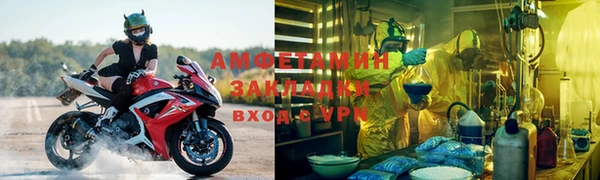 ПСИЛОЦИБИНОВЫЕ ГРИБЫ Михайлов